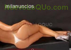 NuevoLoquo3