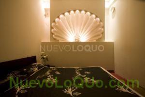 NuevoLoquo4