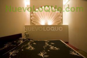 NuevoLoquo4