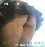 NuevoLoquo3
