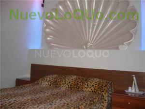 NuevoLoquo1