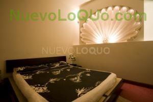 NuevoLoquo5