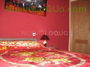 NuevoLoquo1