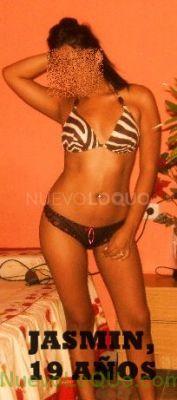 NuevoLoquo2
