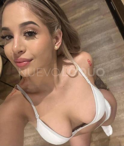 NuevoLoquo3