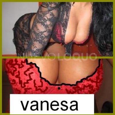 NuevoLoquo2