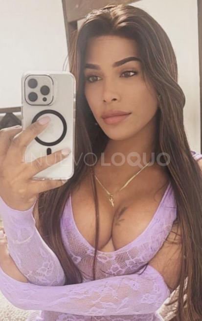 NuevoLoquo2