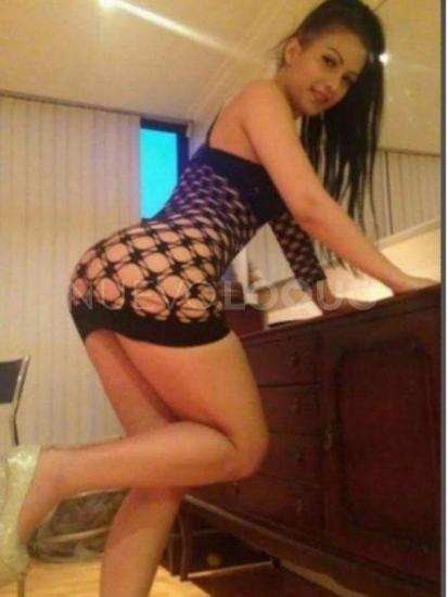 NuevoLoquo2