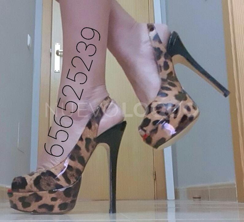 NuevoLoquo3