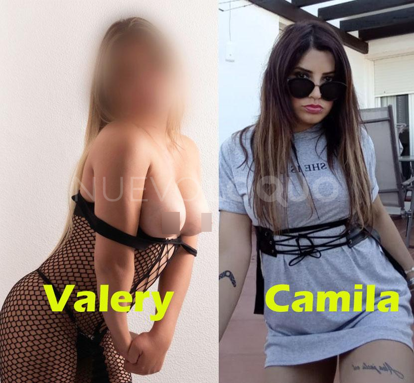 NuevoLoquo1