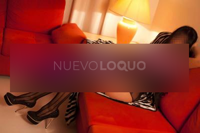 NuevoLoquo2