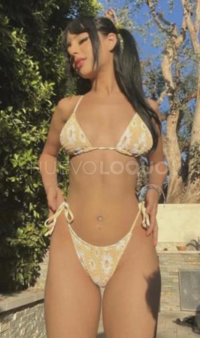 NuevoLoquo2