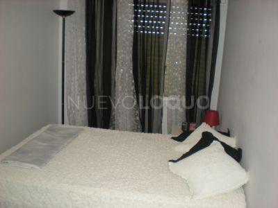 NuevoLoquo3