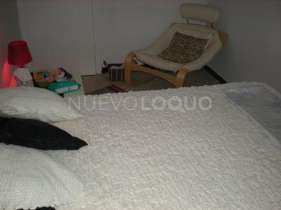 NuevoLoquo4
