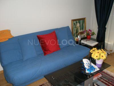 NuevoLoquo5