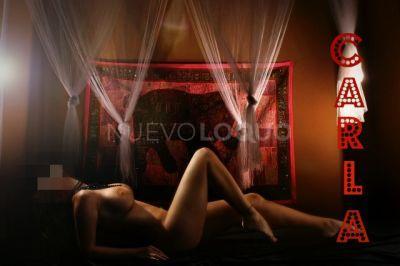 NuevoLoquo3