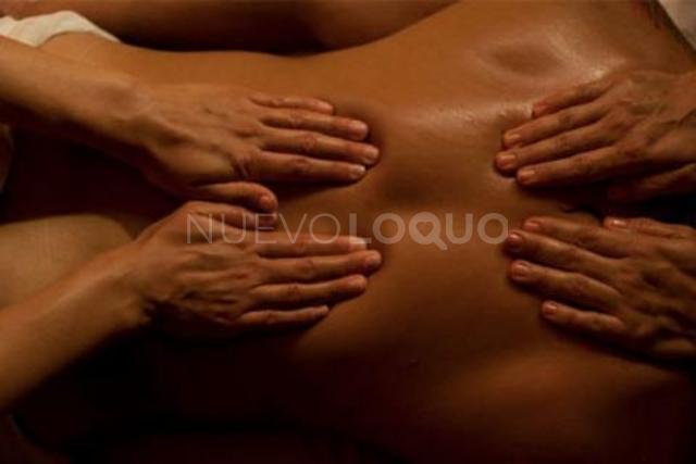NuevoLoquo1