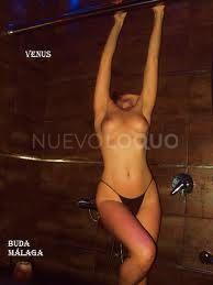 NuevoLoquo2