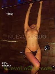 NuevoLoquo3