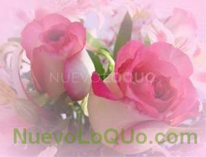  RELAX TRABAJO PARA CHICAS ESPECIALES - Islas Baleares