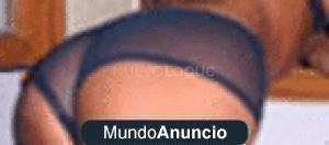 NuevoLoquo3