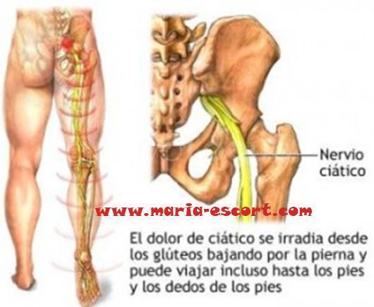 NuevoLoquo3