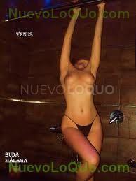 NuevoLoquo2