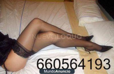contactos pasion
