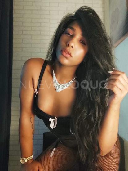 NuevoLoquo3
