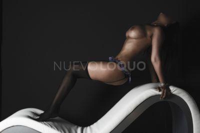 NuevoLoquo3
