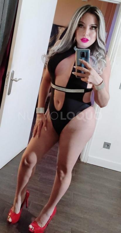 NuevoLoquo3