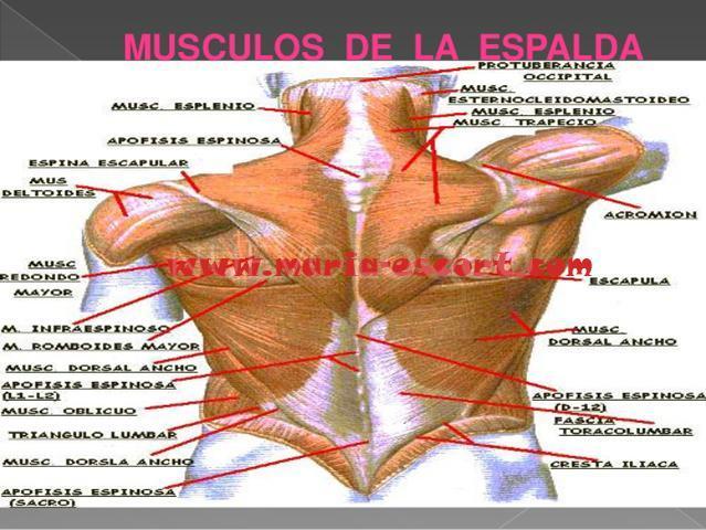NuevoLoquo5