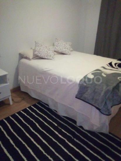 NuevoLoquo3
