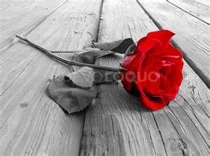 contactos pasion