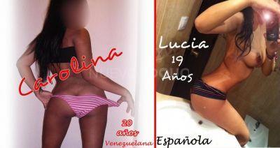 NuevoLoquo2