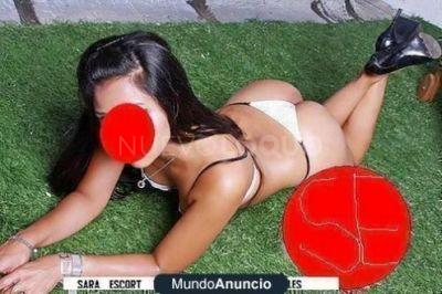 NuevoLoquo3