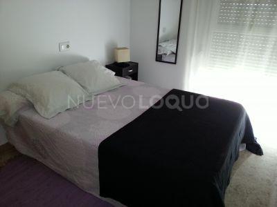 NuevoLoquo5