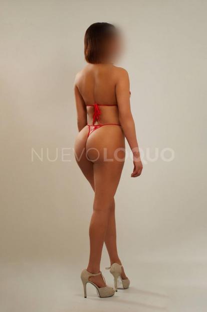 contactos pasion