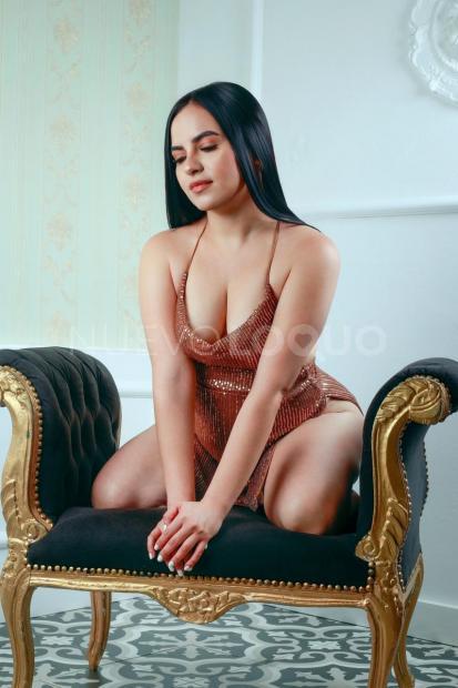 NuevoLoquo3