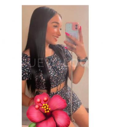 NuevoLoquo3