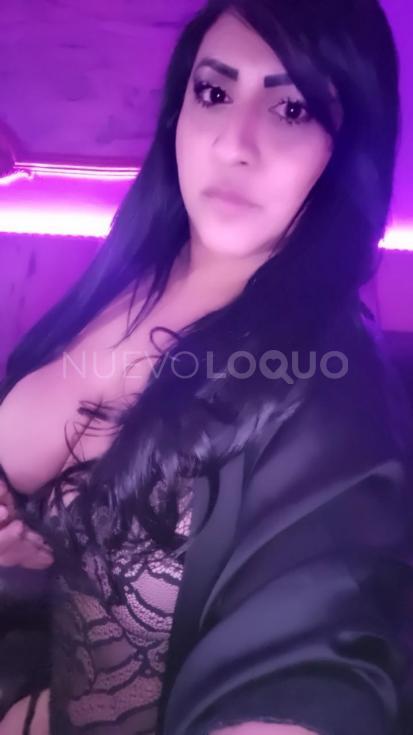 NuevoLoquo1