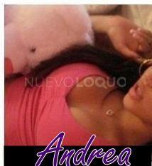 NuevoLoquo2