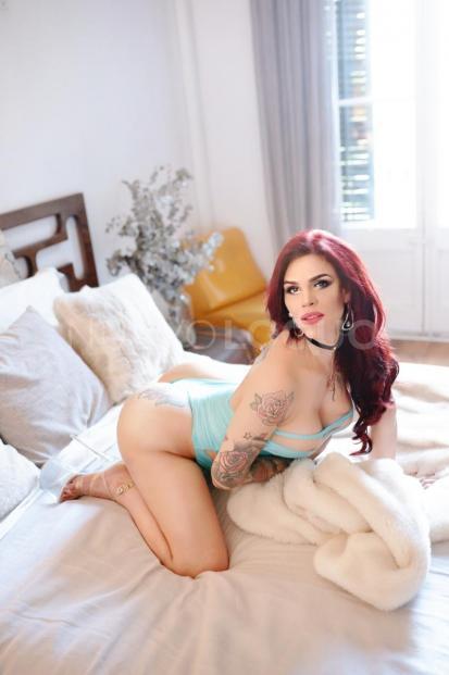 NuevoLoquo4