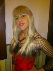 travesti  novedad