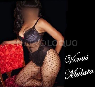  *******VENUS*******UNA VERDADERA GEISHA DE PIEL MULATA***MASAJES PROFESIONAL Y EROTICO