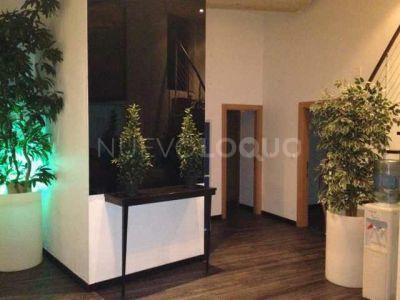 NuevoLoquo4