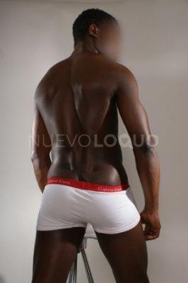 NuevoLoquo3