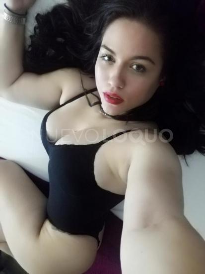 NuevoLoquo1