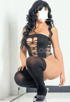 NuevoLoquo3