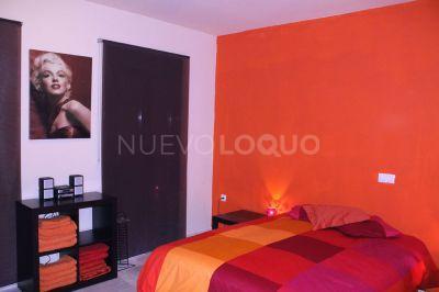 NuevoLoquo2